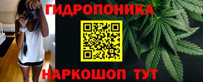 гашик Владимир