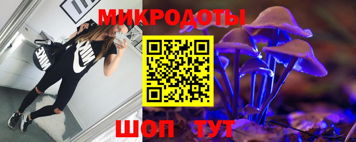 Псилоцибиновые грибы Psilocybine cubensis Горячий Ключ